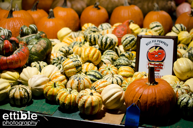 Circleville Pumpkin Show 2011